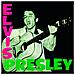 Elvis Presley: Album (magnete)  - Foto miniatura 1