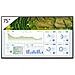 Display LCD 75" Led FW-75BZ30L 3840 x 2160 4K UHD - Foto miniatura 1