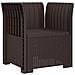 Poltrona a 1 Posto con Cuscino Aspetto Rattan PP Marrone - Foto miniatura 2