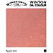 257 Winton Oil Colour 37ml Tinta Carne - Foto miniatura 1