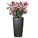 Fioriera Cilindro Color 32 All-in-one Ardesia 13953 - Foto miniatura 4