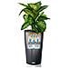 Fioriera Cilindro Color 32 All-in-one Ardesia 13953 - Foto miniatura 7