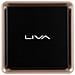 Mini PC LIVA Q3 Plus AMD Ryzen R1505G Dual Core 2,4 GHz Ram 4 GB eMMC 64GB 2x USB 3.2 FreeDos  - Foto miniatura 9