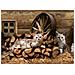 Tappeto Passatoia Cucina Antiscivolo Con Stampa Digitale Dis. Gatto Baita 323 50x230 Baita - Foto miniatura 3