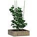 Supporti Piante Da Giardino Con 4 Anelli 5pz Verde 90cm Acciaio - Foto miniatura 3