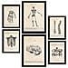 Set Di 6 Stampe Illustrazioni Mediche Di Scheletri In Stile Vintage Di Anatomia, Parti Del Corpo, Ossa E Muscoli A3 & A4 Senza Cornice - Foto miniatura 1