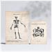 Set Di 6 Stampe Illustrazioni Mediche Di Scheletri In Stile Vintage Di Anatomia, Parti Del Corpo, Ossa E Muscoli A3 & A4 Senza Cornice - Foto miniatura 2