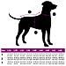Cappotto per Cani Viola L68 Pile e Poliestere - Foto miniatura 9