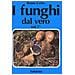 Bruno Cetto - I funghi dal vero. Vol. 7 - Foto miniatura 2
