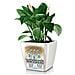 Vaso Fioriera QUADRO LS 28 ALL-IN-ONE Bianco Lucido 16040 - Foto miniatura 6