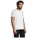 T-shirt Girocollo Da Uomo Modello Imperiale Taglia S Colore Bianco - Foto miniatura 3