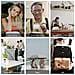 Rdpf-1020v Digital Photo Frame Da 10 Pollici 1610 Ips Immagine Musica Video Player Elettronico Picture Album Rimuovere Il Controllo (burlywood)  - Foto miniatura 3