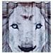 Tenda da Doccia Lion 180 x 200 cm - Foto miniatura 1
