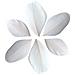100 Piume Tagliate - Bianco 6 Cm - Foto miniatura 1