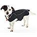 Impermeable Para Perros Buster Negrom-l - Foto miniatura 1