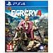 Far Cry 4 - Foto miniatura 5