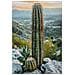 Stampa Su Tela Cactus A Paesaggio Desertico Con Cornice, 60x90 Cm - Foto miniatura 2
