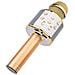 Microfono Karaoke Bluetooth Registrazione E Slot Per Scheda Micro-sd, Oro - Foto miniatura 1