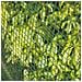 Rete Metallica Da Giardino 20x20 Mm 1x3 M Green 6050205 - Foto miniatura 2