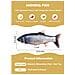 Gioco Del Gatto Magic Fish - Venteo - Adulto - Grigio - Giocattolo Educativo, Ricaricabile Via Cavo Usb - Foto miniatura 1