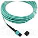 SFP5252EU3MKB cavo InfiniBand e in fibra ottica 3 m MPO Colore acqua - Foto miniatura 6