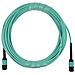 SFP5252EU3MKB cavo InfiniBand e in fibra ottica 3 m MPO Colore acqua - Foto miniatura 1