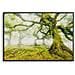 Stampa Su Tela Foresta Paesaggio Boschivo Con Cornice, 90x60 Cm - Foto miniatura 1