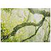 Stampa Su Tela Foresta Paesaggio Boschivo Con Cornice, 90x60 Cm - Foto miniatura 3