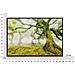 Stampa Su Tela Foresta Paesaggio Boschivo Con Cornice, 90x60 Cm - Foto miniatura 7