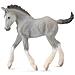 Shire Horse Foal, Grigio - Foto miniatura 1