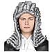 Parrucca Uomo Giudice Ottocento, Grigio, Adult One Size, 86364 - Foto miniatura 1