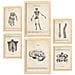 Set Di 6 Stampe Illustrazioni Mediche Di Scheletri In Stile Vintage Di Anatomia, Parti Del Corpo, Ossa E Muscoli A3 & A4 Telaio In Legno Chiaro - Foto miniatura 1