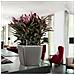 Fioriera QUADRO LS 28 ALL-IN-ONE Carbone 16143 - Foto miniatura 6