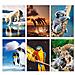 Maxiquaderno A4 40fg+2 80gr 5mm C / margine Animal 2020 - Foto miniatura 1