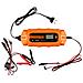 Raddrizzatore Automatico 6a / 100w, 3-150ah, Per Batterie Al Piombo / Agm / Gel - Foto miniatura 1