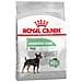 Digestive Care Mini Per Cani - Foto miniatura 2