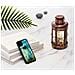 Custodia Nera Per Iphone 11, Camille - Foto miniatura 1