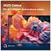 Smart TV QLED 50" 4K 50E7Q - Foto miniatura 13