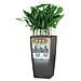 Fioriera Cubico 50 All-in-one Carbone 18164 - Foto miniatura 5