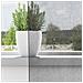 Tende In Voile Con Passanti 2 Pz Grigio Scuro 140x245 Cm - Foto miniatura 6