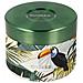 Contenitore Alimentare 360ml Modello Whim Con Motivo Tropicale, Verde - Foto miniatura 1