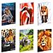 Maxiquaderno A4 36fg+2 100gr Rigo Di 1a Wild Be More Special 2020 - Foto miniatura 1