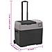 Borsa Frigo con Ruote Adattatore Nera Grigia 40 L Polipropilene - Foto miniatura 7