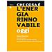 Gianni Silvestrini - Che Cosa È L'energia Rinnovabile Oggi - Foto miniatura 1