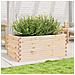 Fioriera Da Giardino 110x60x45,5 Cm In Legno Massello Di Pino - Foto miniatura 3