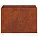 Vaso da giardino 2 pz Ruggine 60 x 40 x 40 cm Acciaio Corten - Foto miniatura 5
