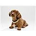 Dog Testa È 563.014 - Foto miniatura 1