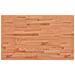 Piano Tavolo 100x60x1,5cm Rettangolare Legno Massello Faggio - Foto miniatura 2