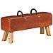 Panca Per Esercizi Marrone 110 Cm In Vera Pelle - Foto miniatura 1