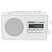 RF-D10EG-K Radio Compatibile DAB / DAB+  - Foto miniatura 6